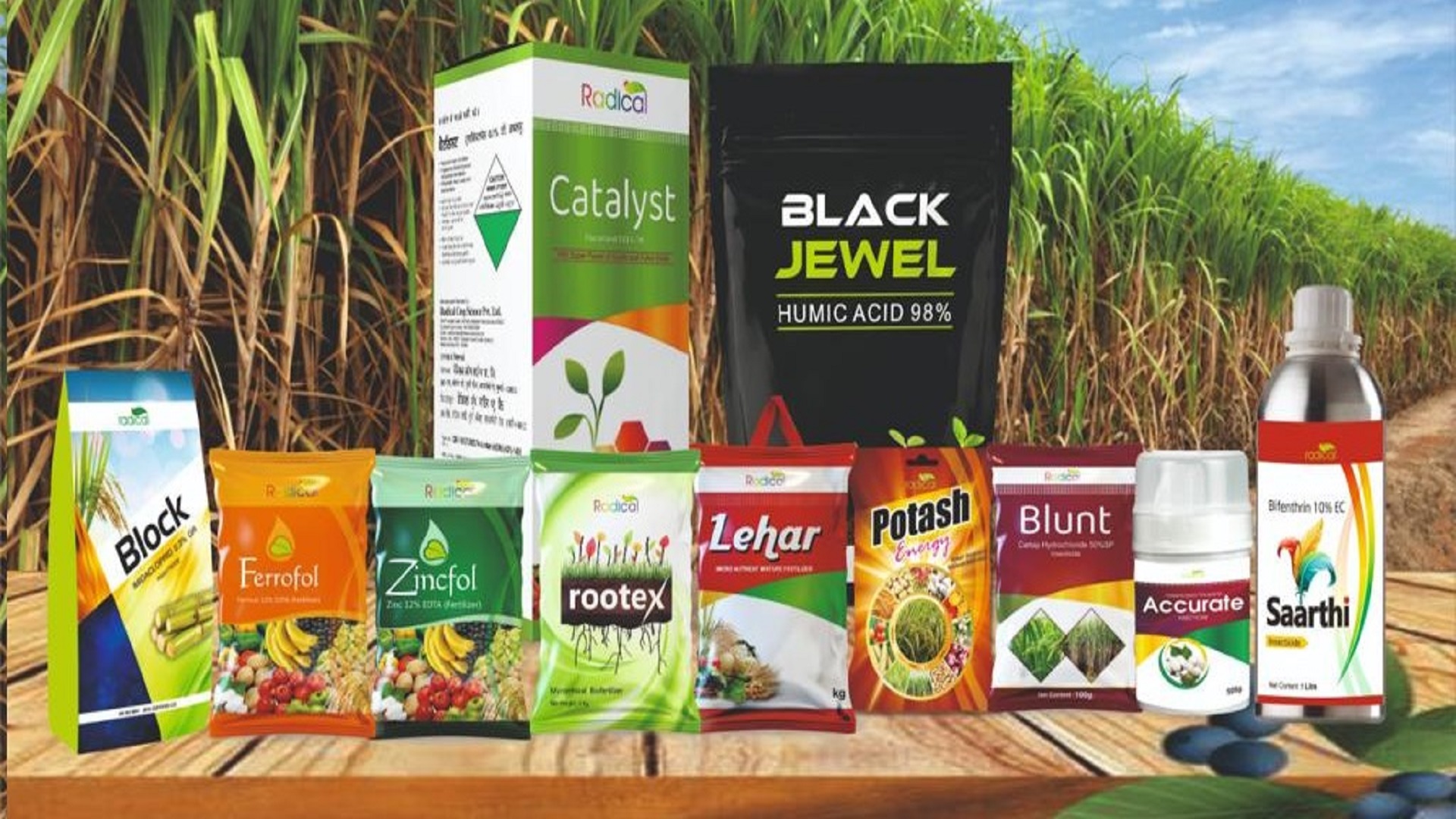 WhatsApp Image 2025-02-10 at 18.28.14