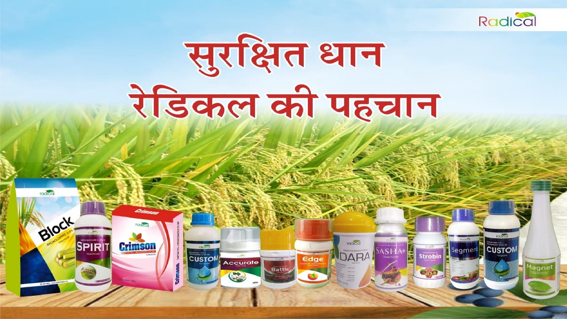 WhatsApp Image 2025-02-10 at 18.28.47